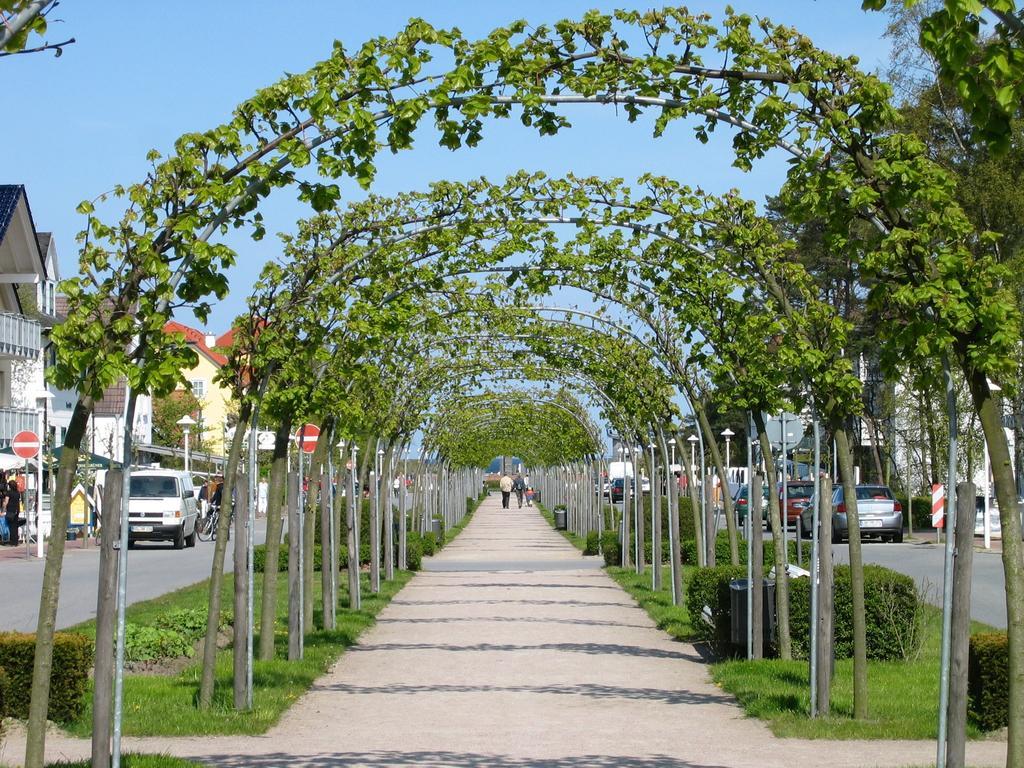 Traumferienwohnung Ostseebad Baabe - Ruegen الغرفة الصورة